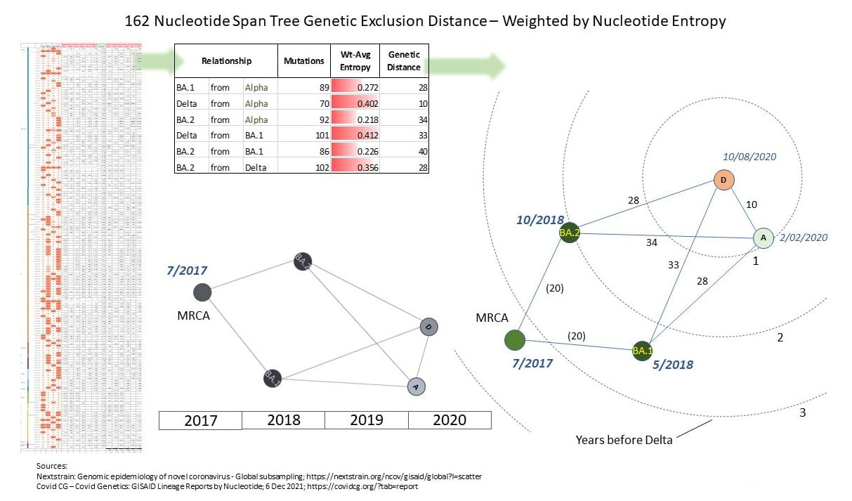 Most recent common ancestor of Alpha, Delta, Omicron-1, and...