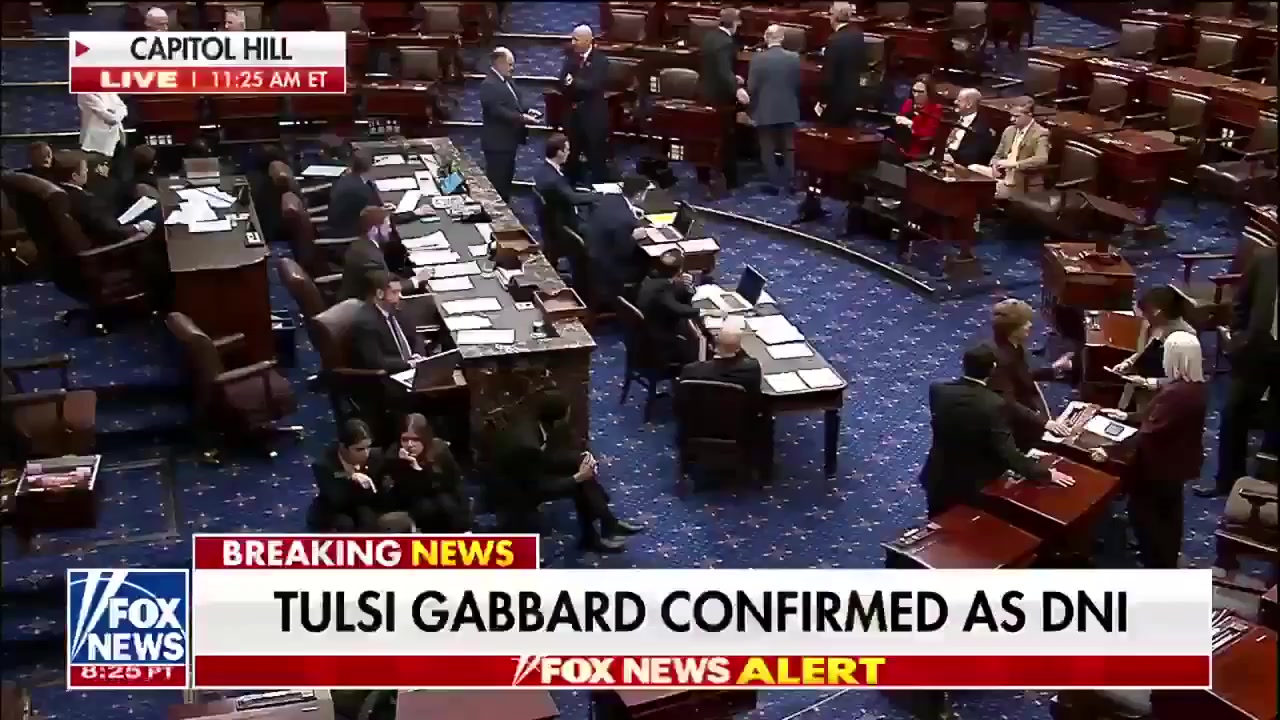 Tulsi Gabbard confirmed as Director of National Intelligence